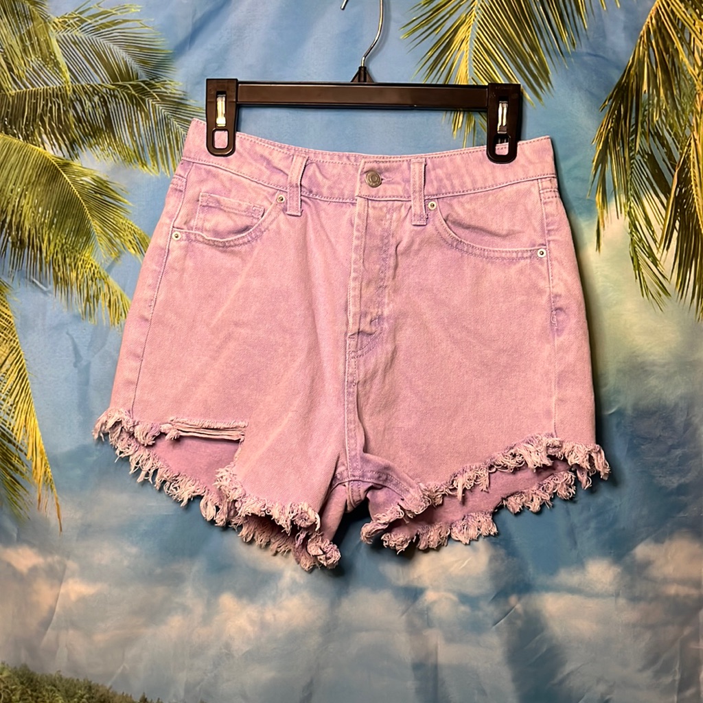 Purple Wild Fable Shorts